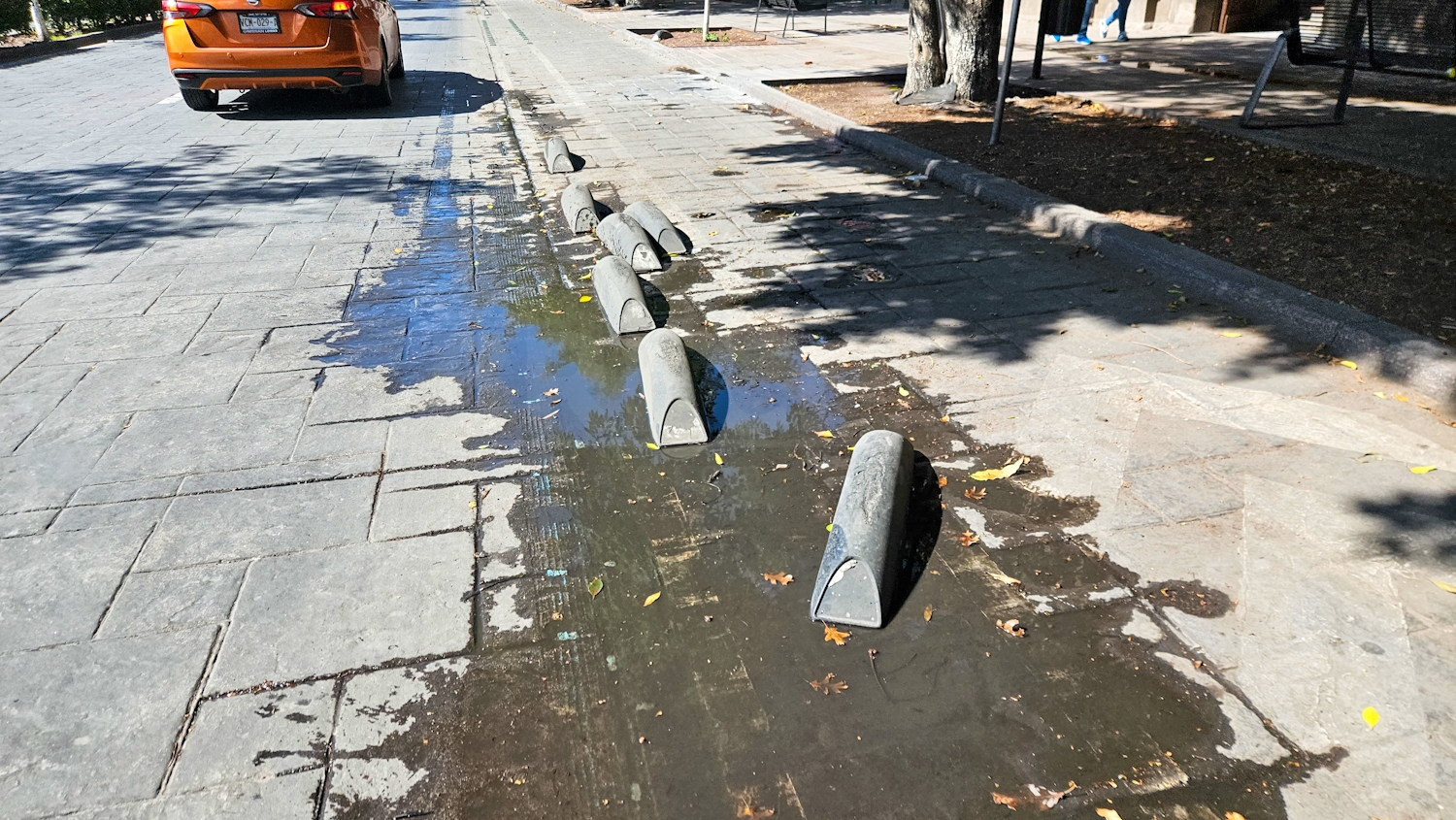 Ciclovía Mermó Desarrollo de Comercios en Carranza: Canaco - LA BRECHA